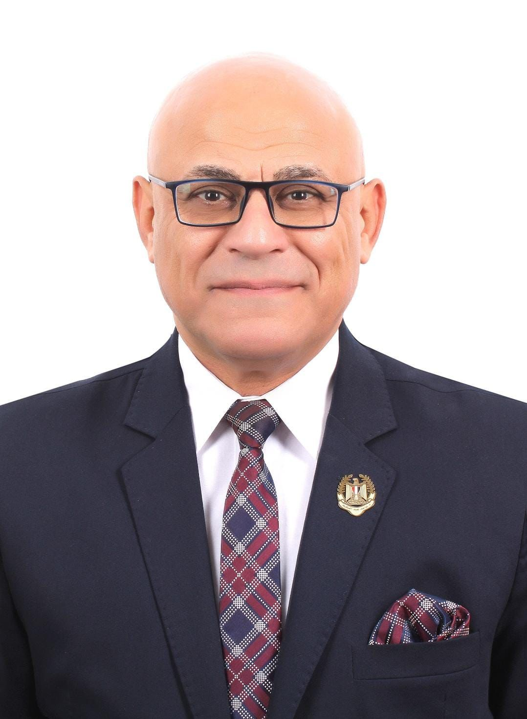 الأستاذ الدكتور ماجد عبد العظيم